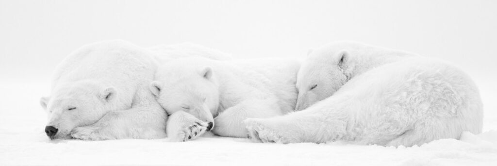 The nap I