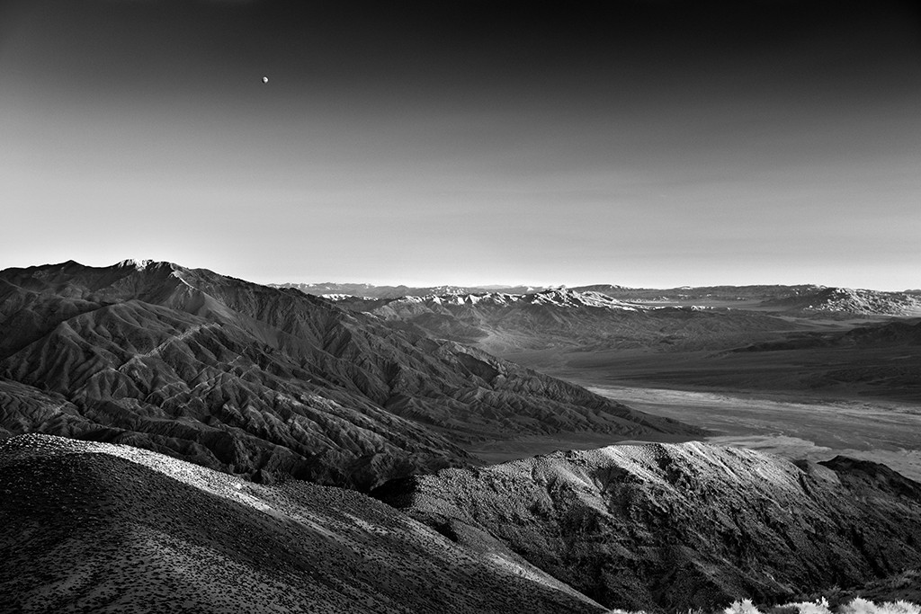 Dante view