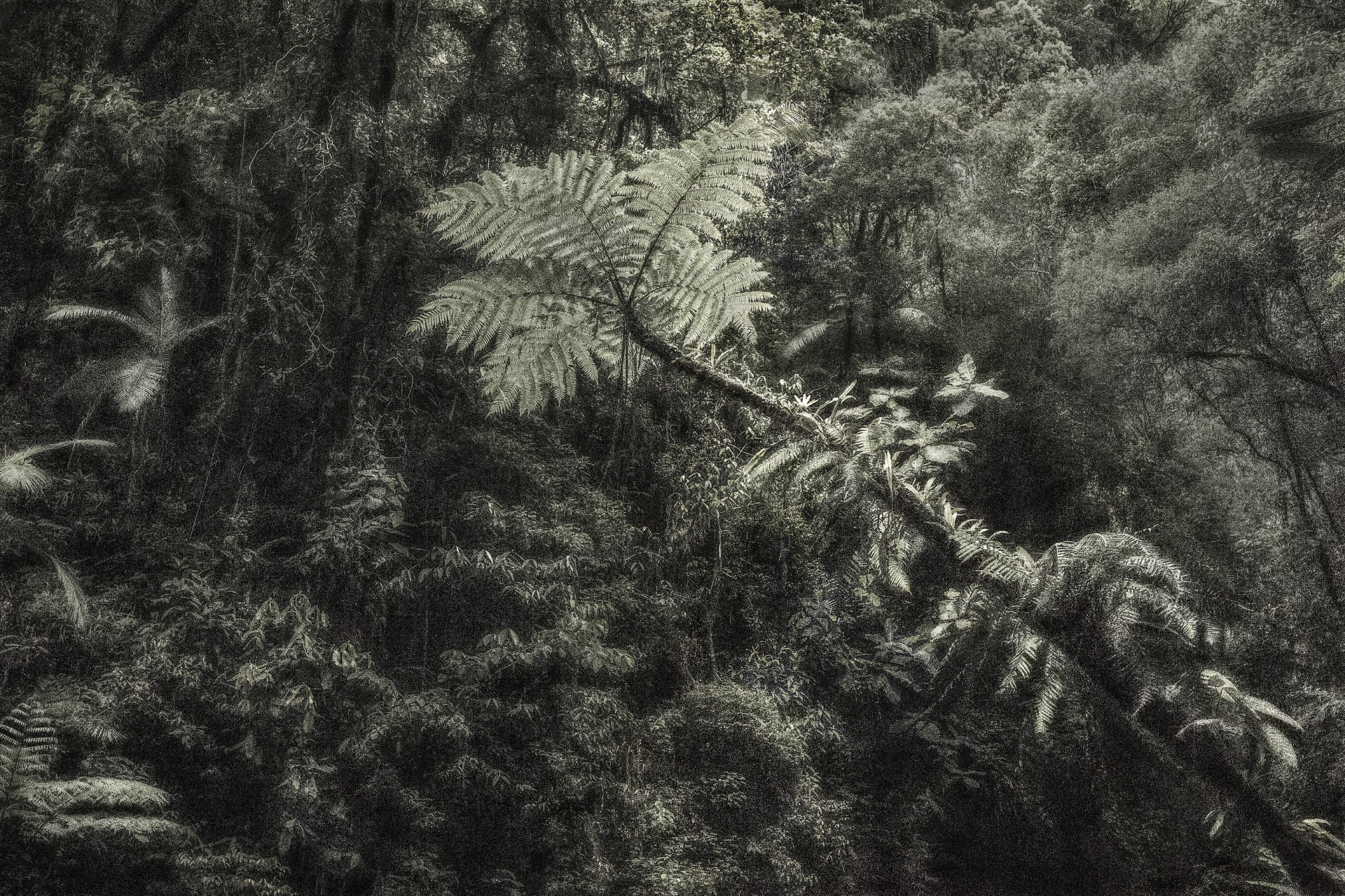 A Picturesque Voyage through Brazil 06