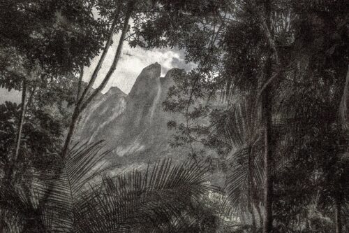 A Picturesque Voyage through Brazil 71