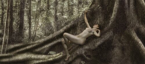 Dryads & Fauns